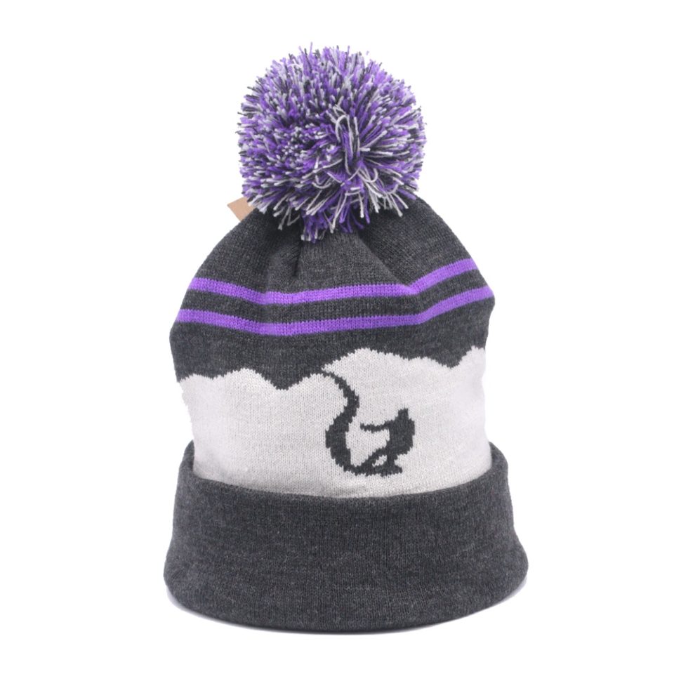 Shred Aspen Purple Charcoal Beanie